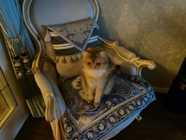 author avatar
